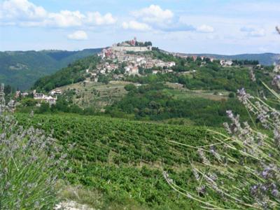 Looking Towards Motovun