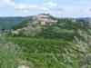 Looking Towards Motovun