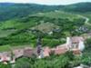 View From Motovun