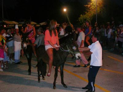 donkey tradition 